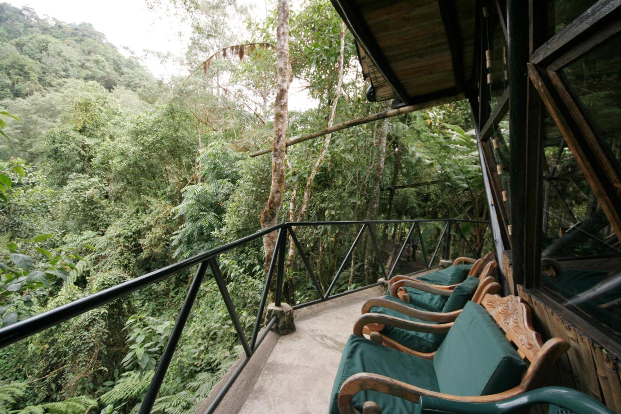 Bellavista Cloud Forest Lodge & Private Protected Area Tandayapa Exterior foto